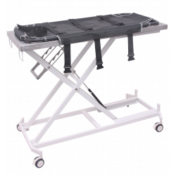 Table de transport avec...